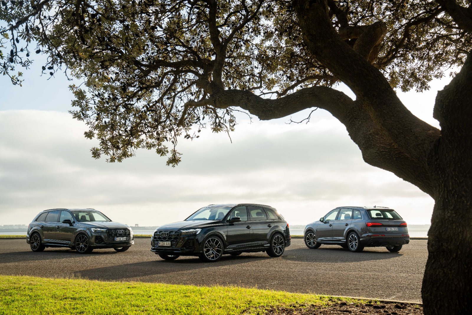 2026 Audi Q7 large luxury SUV